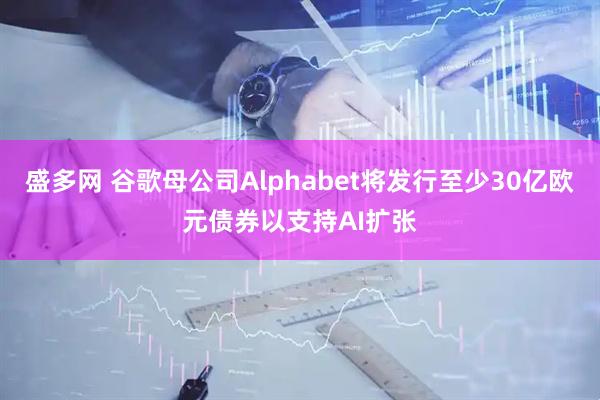 盛多网 谷歌母公司Alphabet将发行至少30亿欧元债券以支持AI扩张