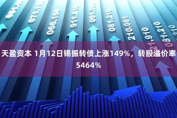 天盈资本 1月12日锡振转债上涨149%，转股溢价率5464%